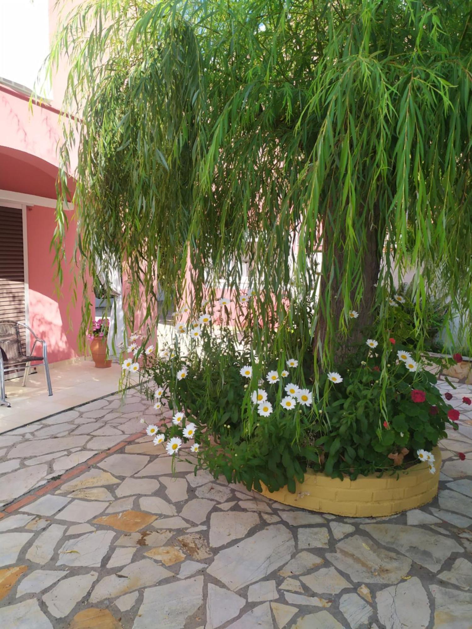 Skevoulis Studios Benitses  Exterior photo
